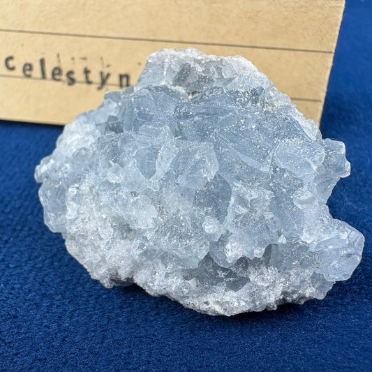 Celestyn